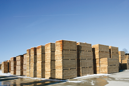 Propriétaires forestiers